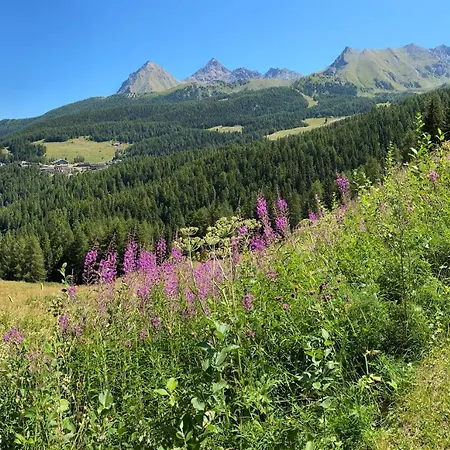 La Buca Delle Fate - Les Fleurs *
